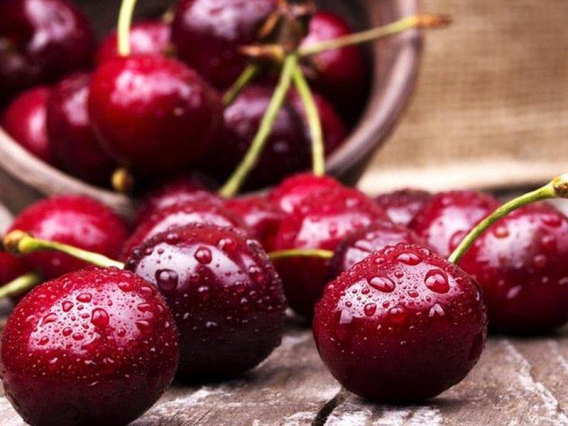 Вишня купить саженцы из питомника в Коврове